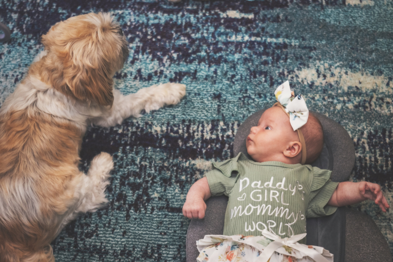 IMG_2021_08_15_1988-copy-2