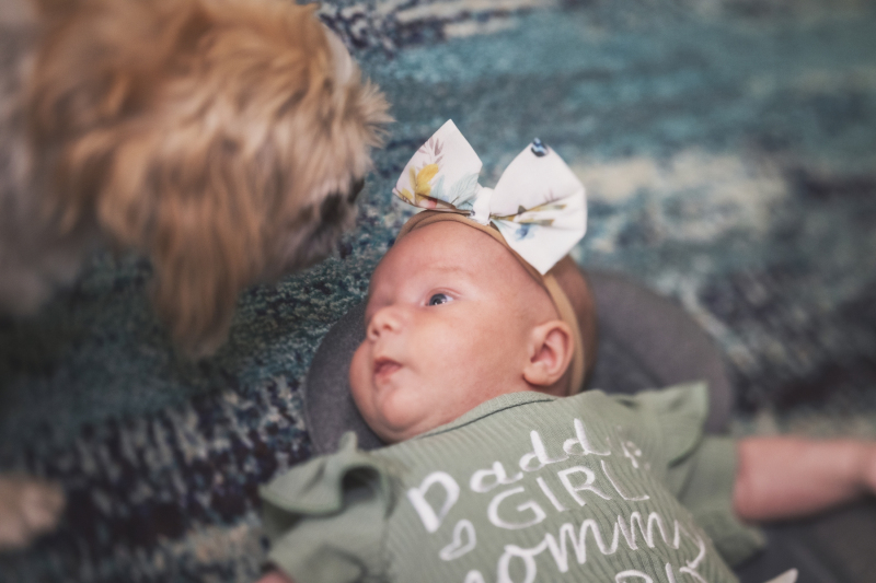 IMG_2021_08_15_1992-copy-2